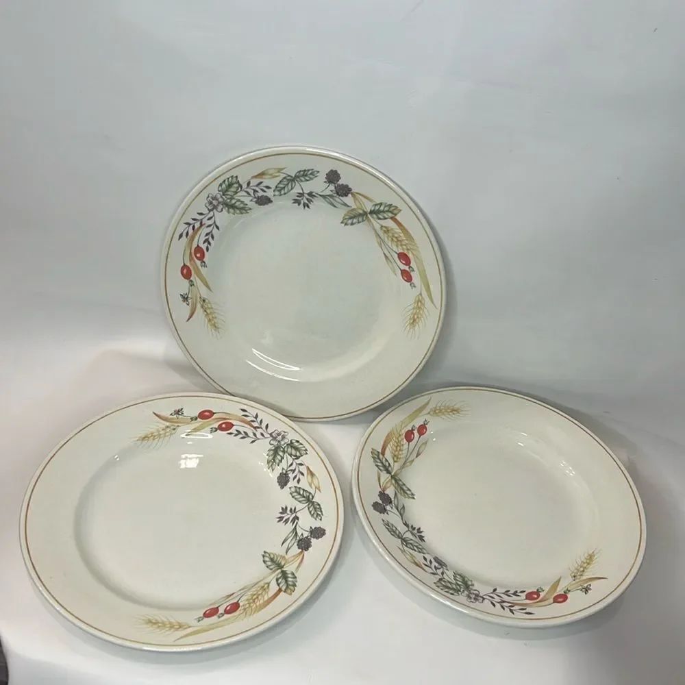 Churchill Plates Made Staffordshire England Fine Tableware 9 1/2 In Round Set 3